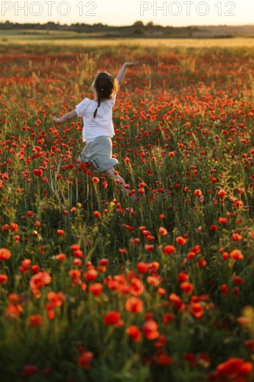 Back view of unrecognizable girl joyfully running in a lush field filled with blooming Papaver