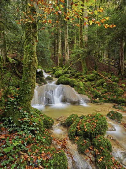 Waterfall surrounded by moss-covered stones in autumnal coloured surroundings, on the river Sihl,