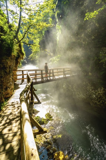 Sunbeams illuminating mist rising from radovna river in vintgar gorge near bled, with tourist