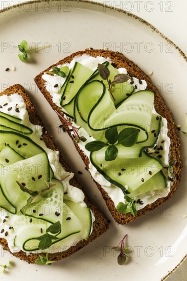Breakfast, cereal bread sandwiches, cream cheese, sliced cucumber, with micro greenery on a light