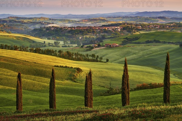 Asciano, landscape in Tuscany, near the Siana and Pienza, Sunrise morning in Italy. Idyllic view on