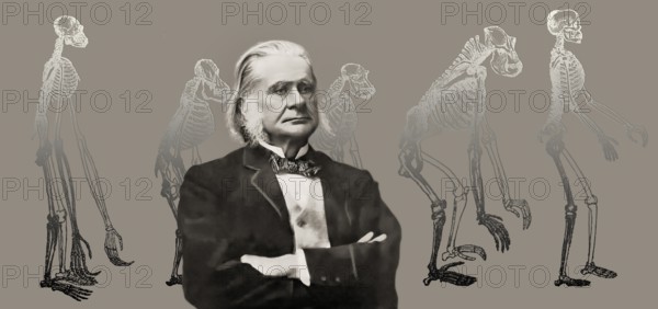 Portrait of Thomas Henry Huxley, 1825 – 1895, English biologist and anthropologist, specialized in