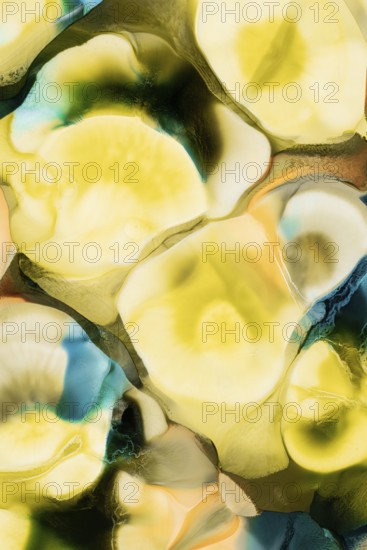 Vibrant interplay of yellow, blue, and green liquid inks merging into a fluid abstract design,