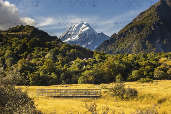 Stunning autumn view of Mount Cook in New Zealand, featuring golden foliage and majestic peaks