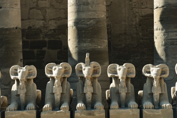 At the entrance to Karnak Temple the Avenue of Sphinxes, statues with the head of a Ram and the