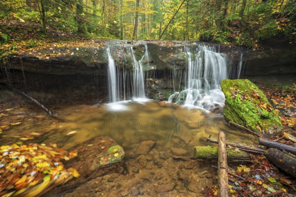 Waterfall in the course of the Strümpfelbach stream, colorful autumn leaves in the water,