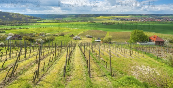 View over vineyard with vineyard cottage into the Unstrut valley, blue sky with dramatic clouds in