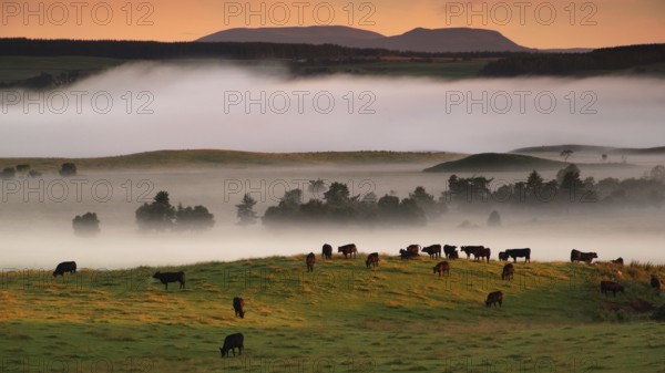 Europe, Scotland, Great Britain, England, landscape, CairnGorm Mountains, mountain group, fog