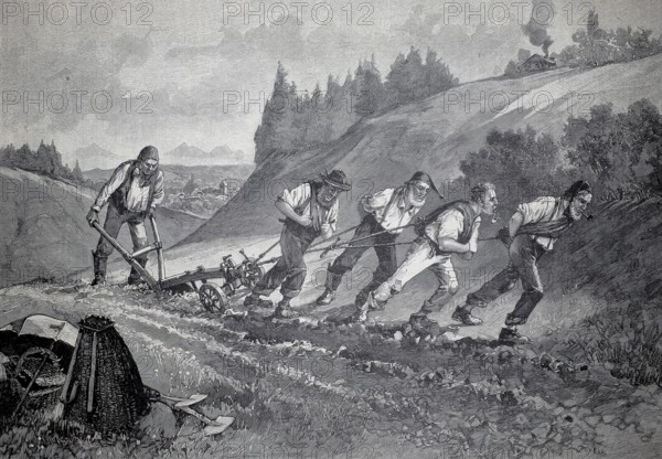 Farming in Entlebuch in Switzerland, 1882, men doing heavy physical work such as drawing a plough,