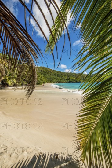 Anse Lazio Beach, Praslin, Republic of Seychelles, Indian Ocean