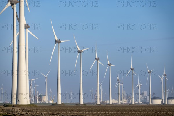 Westereems and Growind wind farms, in the north of the Netherlands, near Eemshaven, energy center,