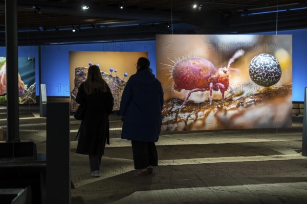 New exhibition at Gasometer Oberhausen, Mythos Wald, on 3 levels and with several thematic