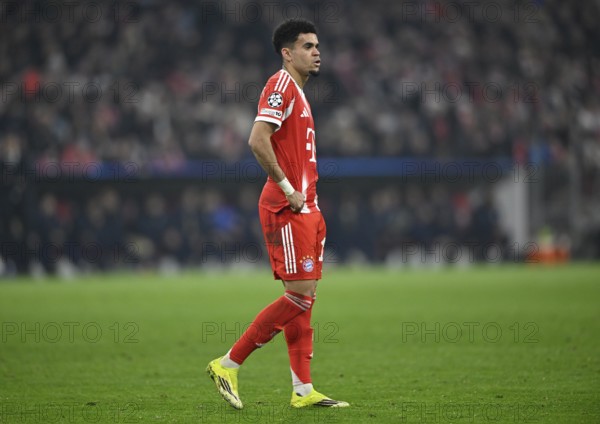 Luis Diaz FC Bayern Munich FCB (14) Football, Champions League, Allianz Arena, Munich, Bayern,