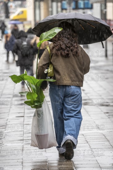 Passers-by in a pedestrian zone, Kettwiger Straße, woman with potted plant in rainy weather, city
