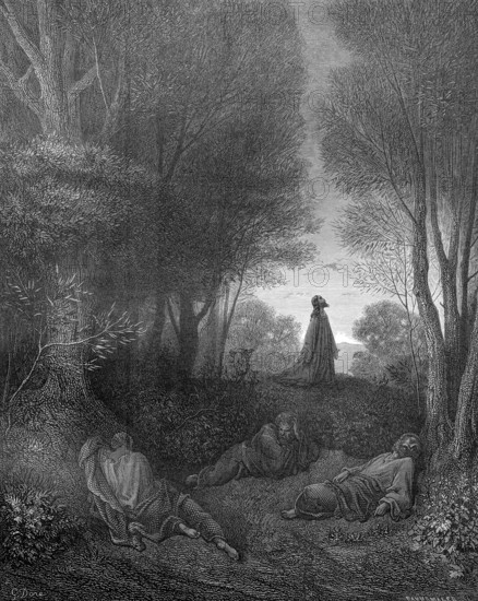 Jesus praying in the Garden of Gethsemane, Matthew chapter 26, verse 39, nature, trees, plants,