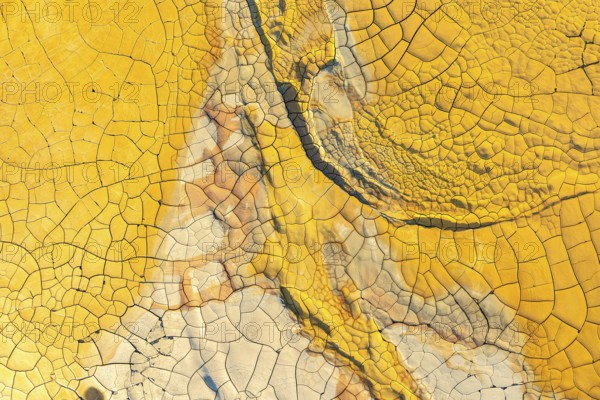 Vibrant, high-resolution image showcasing the intricate patterns and deep cracks of dried, golden