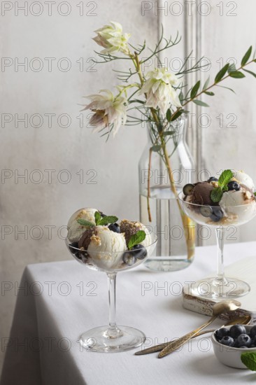 Elegant glass present a sophisticated serving of vanilla and chocolate ice cream, garnished with
