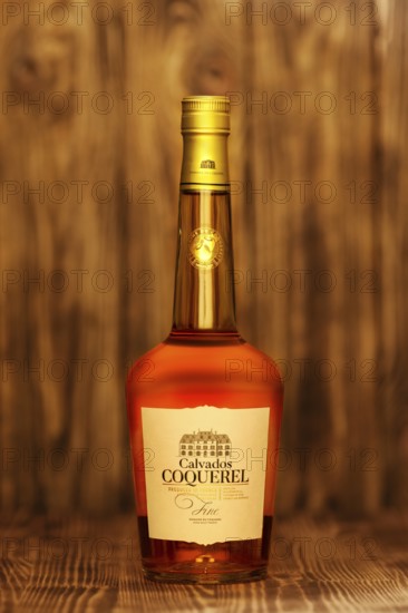 2019, February 23, Minsk, Belarus, Bottle of fine Calvados Coquerel aged in young oak barrels on