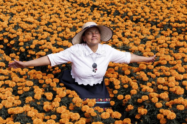 A serene woman enjoys the vibrant display of cempasuchil flowers, traditionally used in Day of the