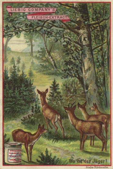 Picture series picture puzzle, where is the hunter, Liebig picture, digitally restored reproduction