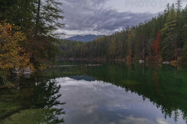A tranquil lake in the Bavarian Alps, Eibsee, reflects the vibrant colors of autumn Dense forest