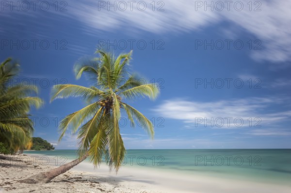 Cahuita National Pak on Costa Rica's Caribbean coast has beautiful, largely secluded beaches. I