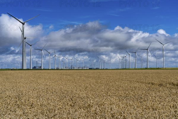 Wind farms Westereems and Growind, in the north of the Netherlands, near Eemshaven, energy centre,