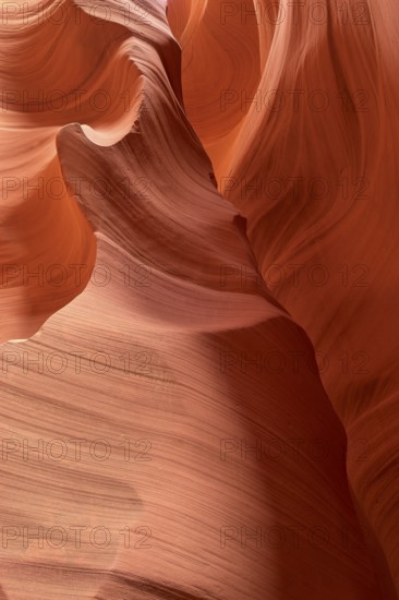 Fascinating sandstone formations in Antelpoe Canyon, showing soft, wave-like structures, Antelope