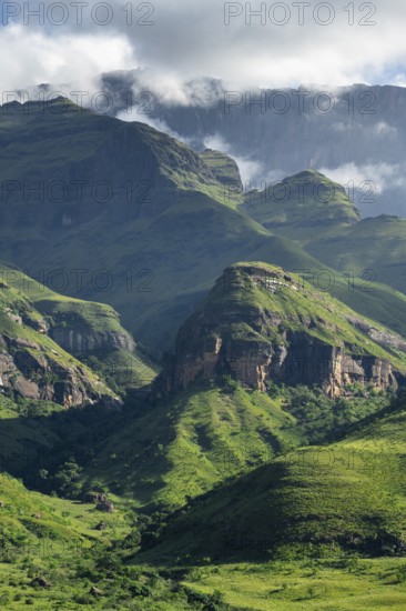 Drakensberg Mountains and Cliffs with Fog, Amphitheatre, Drakensberg National Park, KwaZulu Natal,