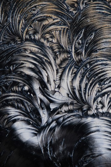 A detailed of micrograph showcasing the intricate, feather-like formations of salicylic acid