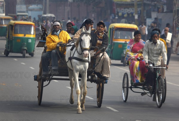 New Delhi, India, 15.01.10 - Horse-drawn carts, rickshaws and tuk tuk taxis on a street in New