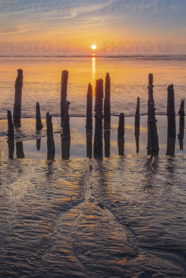 View of old rotten stakes in the Wadden Sea at low tide at sunset, National Park, Unesco, World