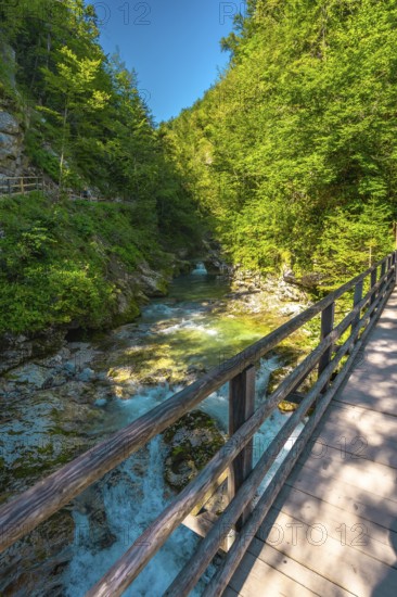 Scenic view of a wooden footbridge over the turquoise radovna river, flowing through the lush