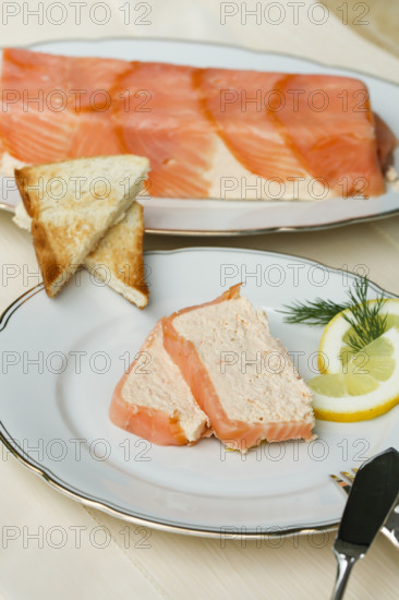 Southern German cuisine, salmon trout terrine arranged on a plate, salmon terrine with trout