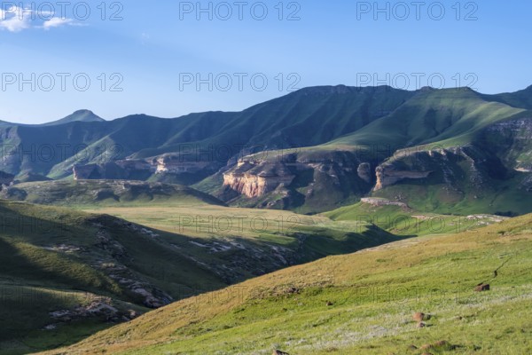 Grassland with sandstone cliffs and cliffs, landscape in Golden Gate Highlands National Park, Free