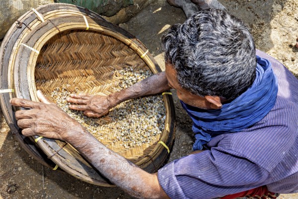 Person uses his hands to inspect the stones in a basket to sort them, the sapphire and gemstone