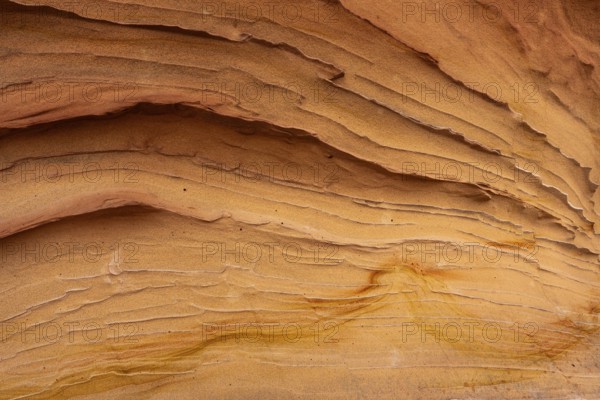 A detailed look at sandstone abstract textures, showcasing smooth, layered lines in warm tones. The