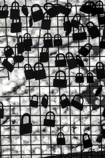 Padlocks, so-called love locks on a fence, vantage point in Wesel am Rhein, North Rhine-Westphalia,