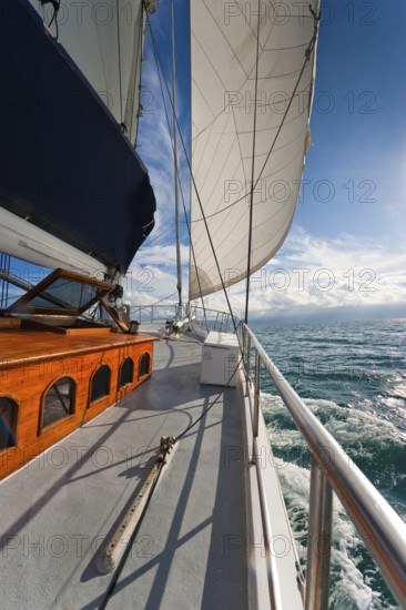 Sailing, sailing ship in the evening sun, backlight, sky, beautiful weather, atmosphere, journey,