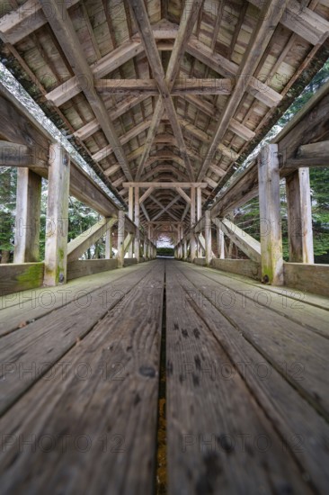 Detailed interior view of a bridge with symmetrical wooden elements, Kälberbrücke, Enzklösterle,