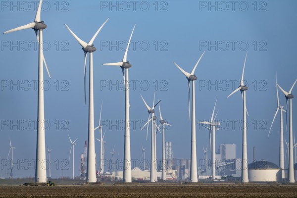 Westereems and Growind wind farms, in the north of the Netherlands, near Eemshaven, energy center,