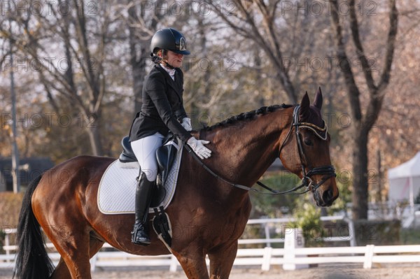 Teenage girl in classical dressage attire riding a brown horse, focusing intently ahead