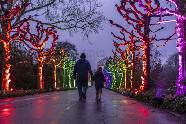 Park lights, events in winter, in the Grugapark in Essen, many different light installations,