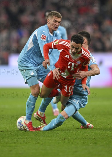 Tackle, action Jamal Musiala FC Bayern Munich FCB (10) against Albian Hajdari TSG 1899 Hoffenheim