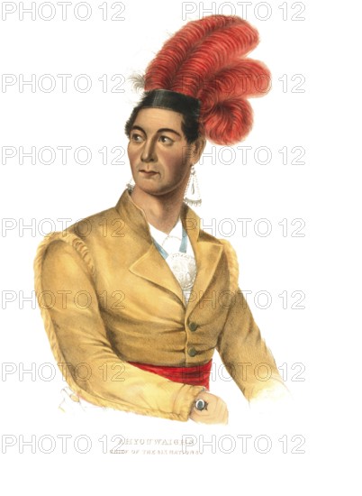American Indian, Native American, Thayendanegea, Chief of the Mohawk and Head of the Iroquois