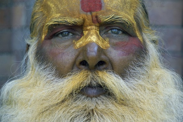 Nepal, Himalaya, Sadhu, Saint Man, Himalaya, Nepal