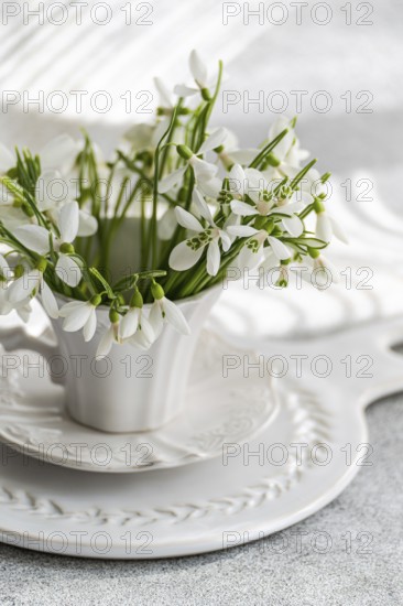 White snowdrops in a classical white teacup on a carved plate, offering a fresh and comforting hint