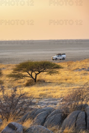 Off-road vehicle on a salt pan, at sunrise, acacia and rocks, Kubu Island (Lekubu), Sowa Pan,