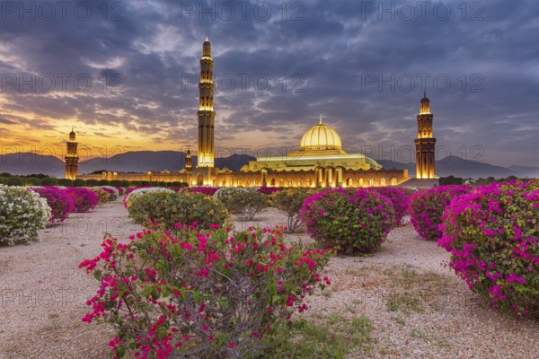 Countryside, Oman, Mosque, blue hour, Illuminated, Building, Architecture, Sultan Qabus Grand