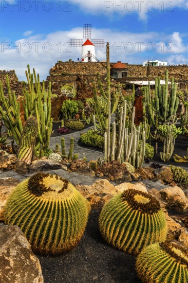 Gofio mill in the Jardin de Cactus with more than 10,000 cacti by Cesar Manrique, Guatiza,